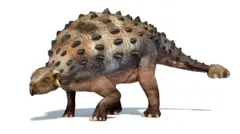 白い床に肌の皮の恐竜。フレームの左側にくちばしがあるカメのように見えます。彼の背中と尾は、小さな黒い突起で飾られた鎧の層で覆われています