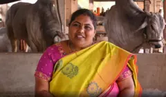 બીબીસી ગુજરાતી, ગુજરાત, બીબીસી, અમદાવાદ, બળદ, પ્રાણી, એ મહિલા જેની દરેક 'વાત ખૂંખાર બળદો માને છે'