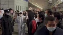 شماری از معترضان