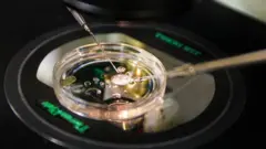 शास्त्रज्ञांची अनोखी कामगिरी, पहिल्यांदाच मानवी त्वचेच्या डीएनएपासून भ्रूण तयार करण्यात यश