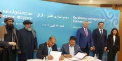 الماتا