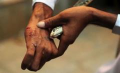 Yoo bofti isin hidde lubbuu keessan oolfachuuf maal gochuu qabdu?