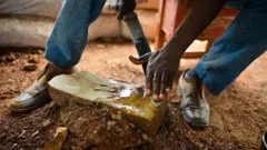 Ẹnikan to n pọn ada fun iṣẹ oko