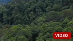 சின்ஹராஜா, இலங்கை 