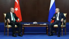 erdoğan putin
