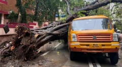 चेंबूरच्या दुर्घटनेतला विहानचा मृत्यू टाळता आला असता? 'झाड कोसळू शकतं' सांगणाऱ्या 2 पत्रांकडे कुणी दुर्लक्ष केलं?