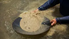 நீலகிரி, தங்கச்சுரங்கம், தங்கம், வரலாறு