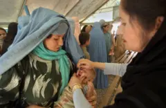 پولیو یا ګوزڼ وېروس اوس یوازې په افغانستان او پاکستان کې پاتې دی.