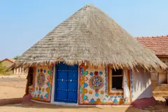 કચ્છ ભૂંગા 