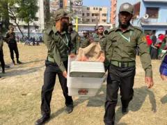 নির্বাচনের বাক্স