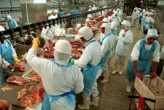 Operários cortam e separam carne bovina no frigorífico Froboi, em Andradina, Brasil.