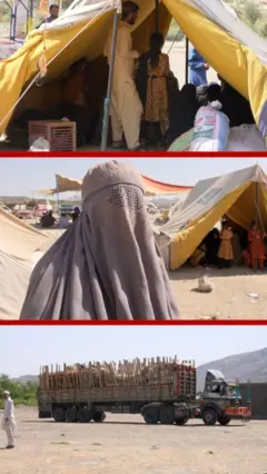 افغان کډواله