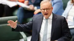 آنتونی آلبانیزی، نخست وزیر استرالیا