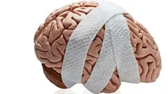 প্রতীকী ছবি।