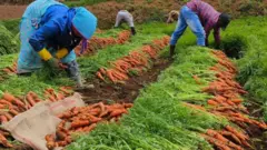 நீலகிரி மாவட்டம் உதகை