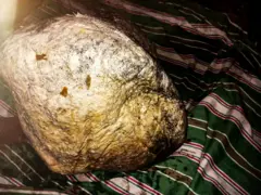 කල්පිටිය ප්‍රදේශයේ ධීවරයකු වු ප්‍රියමන්ත ඇතුළු පිරිසකට පසුගිය දිනක තල්මස් අම්බරයක් ලැබී තිබු අතර ඒ නිසාම ඔවුන්ට පොලිස් අත්අඩංගුවට පත්වන්නට ද සිදුවිය.