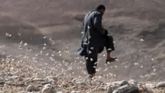 ملخان