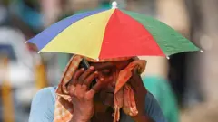 దిల్లీ 