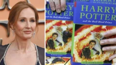 Harry Potter books go become new TV series 