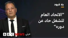 فخر الدين فضلون، النائب في مجلس نواب الشعب التونسي