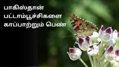 பாகிஸ்தான், ஷிரீன்