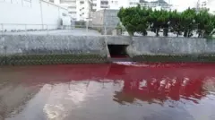 مياه النهر وقد اصطبغت باللون الأحمر