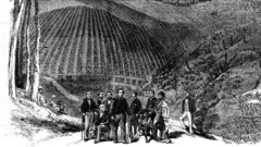 1862-ல் மெட்ராஸ் மாகாண ஆளுநர் சர் வில்லியம் டெனிசனால் நீலகிரி மலையில் முதல் பெருவியின் பார்க் மரங்கள் நடப்பட்டன.