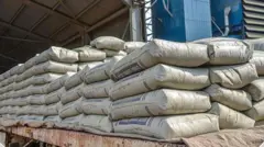 خریطه‌های سمنت که سرهم چیده شده اند و ظاهرا در یک موتر بزرگ باربری قرار دارد.