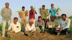 ગુજરાત ખેતી 