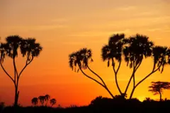 ዕራርቦ ጸሓይ ኣብ ምዕራብ ኤርትራ