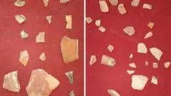 ஹரப்பா நாகரிகம் 