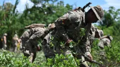 Soldados bolivianos destroem plantas de coca como parte de um programa para erradicar o excedente das folhas, em Chimoré, na Bolívia, em 5 de março de 2026.