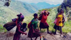 papua, perempuan, pangan