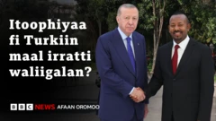 Dureewwan Itoophiyaafi Turkii