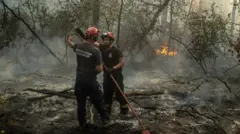 Ватрогасци у Делиблатској пешчари