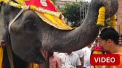 'அவள் எங்களுக்கு சகோதரி, தோழி' - வந்தாராவுக்கு யானை கொண்டு செல்லப்பட்டதால் சோகத்தில் மக்கள்