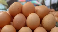 প্রথমবারের মতো দেশে ডিমের দাম নির্ধারন