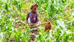 Umuhinzi uri mu murima