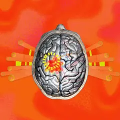 பூமியின் வெப்பநிலை, காலநிலை மாற்றம், உடல்நலம், டிராவெட் சிண்டரோம்
