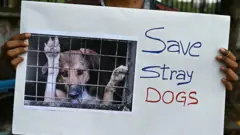 தெருநாய்கள் காப்பகங்களில் அடைக்கும் உத்தரவுக்கு எதிராக போராட்டம் 