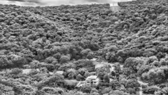 Floresta em área de morro, com casarão