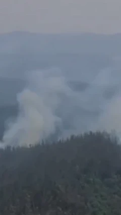 நீலகிரி