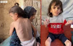 બીબીસી ગુજરાતી, ગુજરાત, બીબીસી, ગાઝા, ઇઝરાયલ-હમાસ સંઘર્ષ