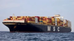 Panama bayraklı MSC Francesca'nın arşiv fotoğrafı