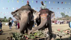 हात्तीको वनभोज।