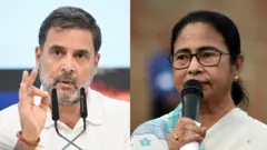 राहुल गांधी और ममता बनर्जी की तस्वीर