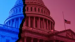 Capitolio en rojo y azul dividido 