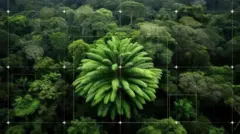 બીબીસી ગુજરાતી યુનિવર્સિટી સાઉથમ્પટન સાઉથ આફ્રિકા ઈ. વૂડી એકલું ઝાડ