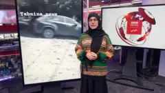 الصحفية في بي بي سي لميس الطالبي
