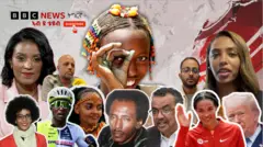 ስእላዊ መግለጺ